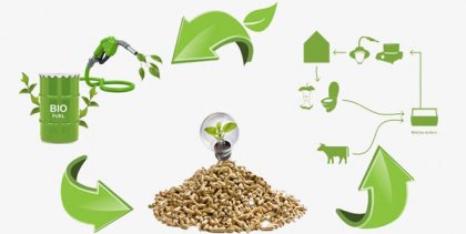 Biomass Pellet Machine Helps to Energy Saving and Emission Reduction