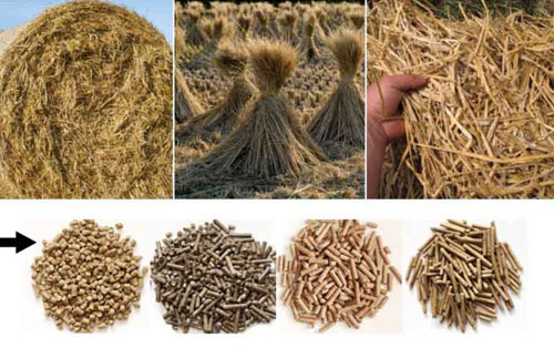 How to use straw to produce biomass pellet fuel?