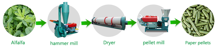 alfalfa pellets production process