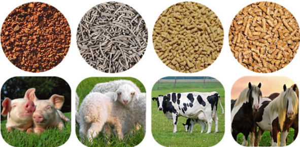 animal feed pellets