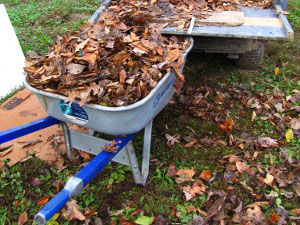 biomass materials at home