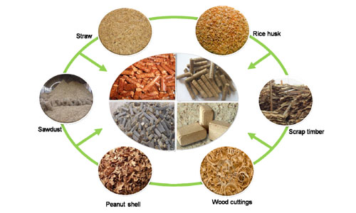biomass molding fuel