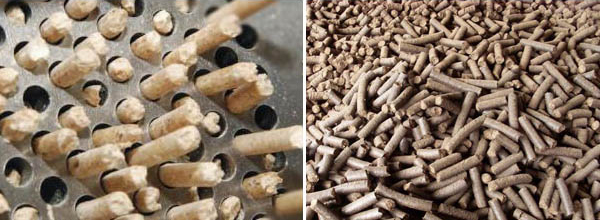 biomass pellet production
