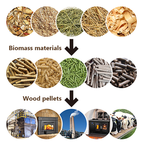 from biomass to biofuel