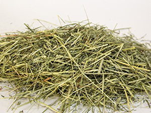 grass hay