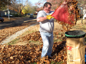 leaves in the yard