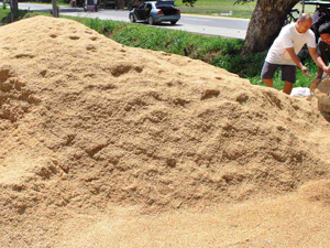 rice husk heap