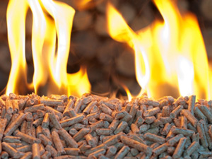 rice husk pellets burning