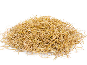 wheat straw