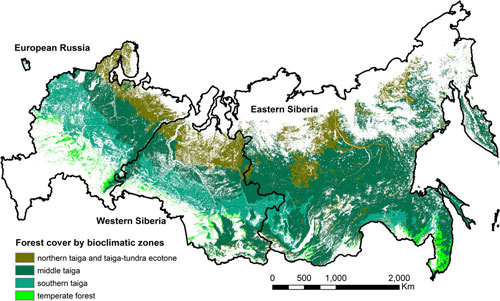 Russia forestry resources coverage