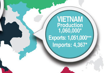 Vietnam wood pellet production and exports